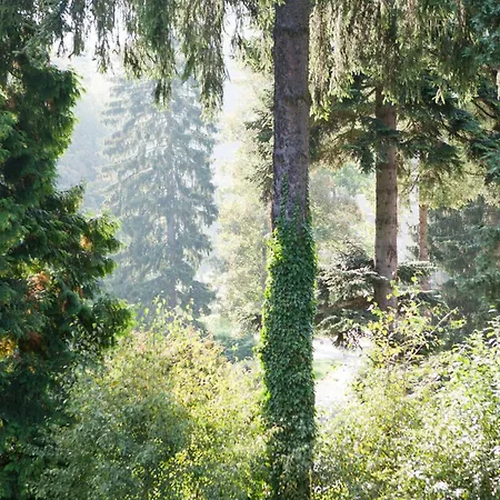 Bed & Breakfast Pepita 3*