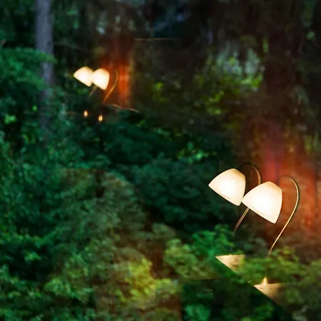 Bed & Breakfast Pepita 3*