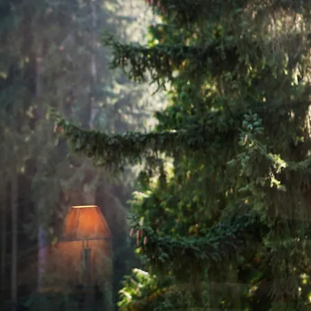 Bed & Breakfast Pepita