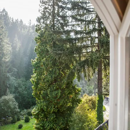 페피타 3* 미에드지고르체