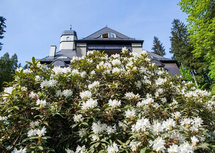 Pepita Bed & Breakfast Miedzygorze