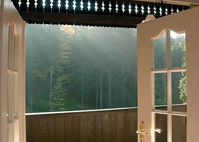 Pepita 3* Miedzygorze