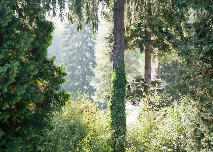 Bed & Breakfast Pepita 3*