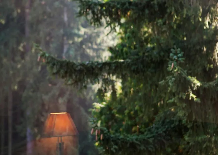 Bed & Breakfast Pepita