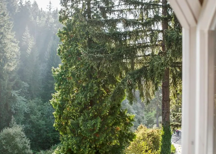 Pepita 3* Miedzygorze